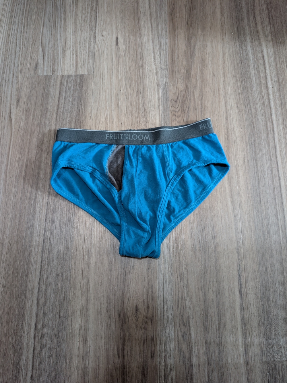 Fruit of the Loom Men's Teal Briefs